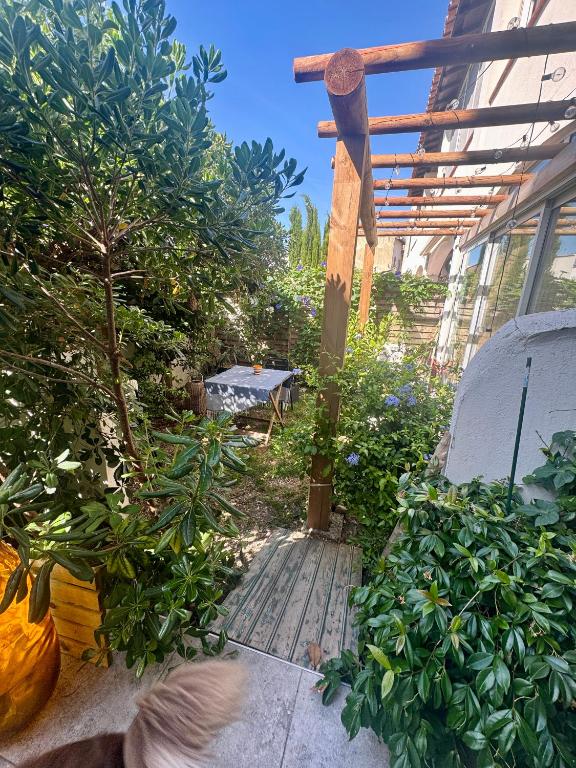 Le Camargue cosy - 2