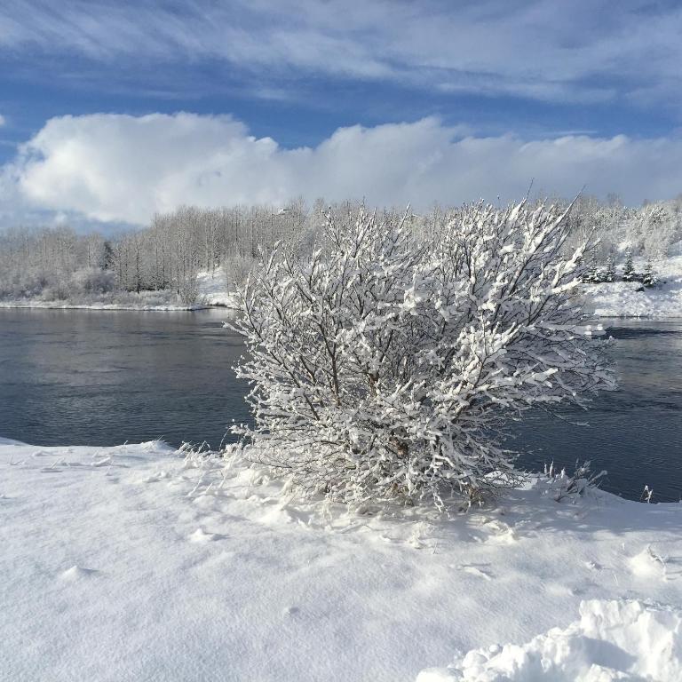 Surrounding environment