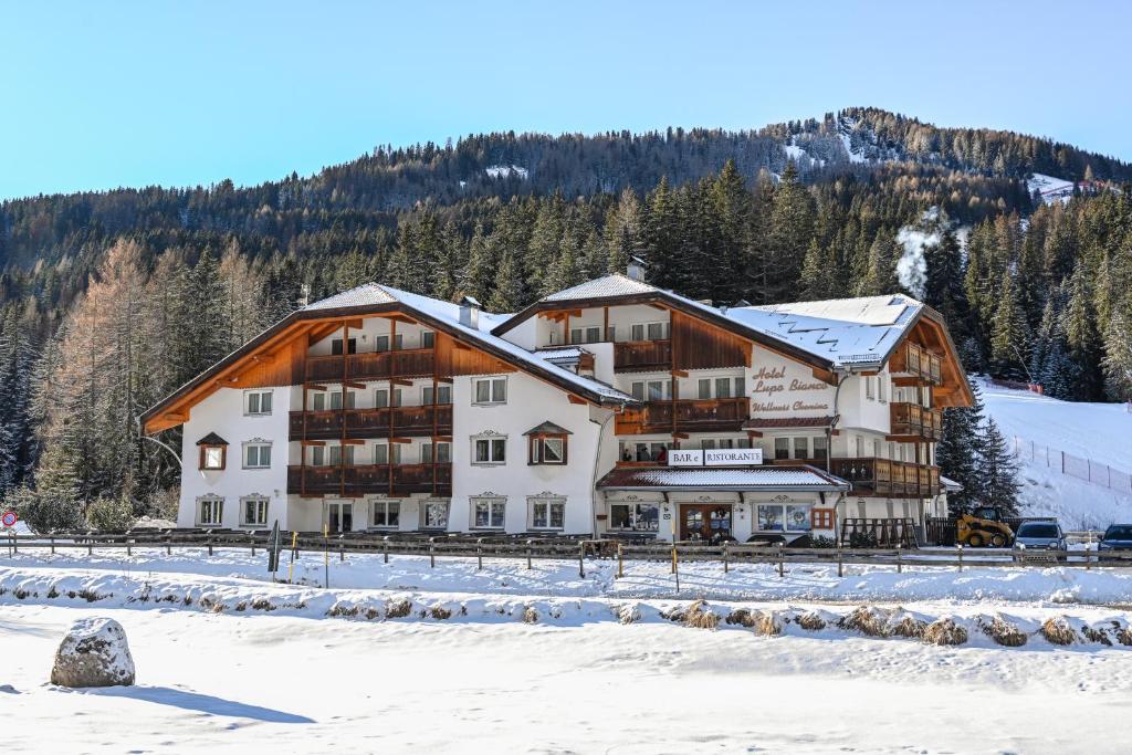 Wellness Hotel Lupo Bianco - 4