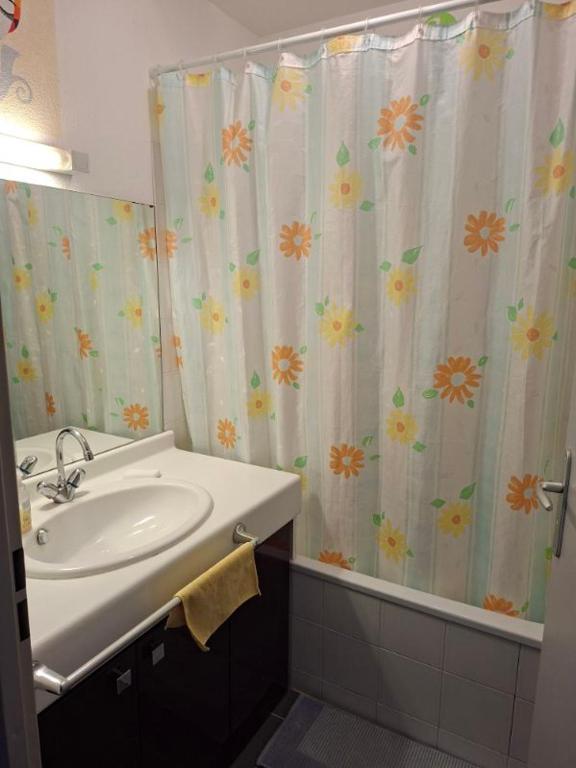 Appartement T2 meublé avec terrasse et parking - 4