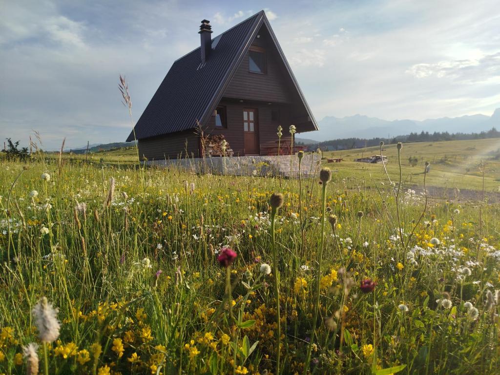 Brown cabin - 3