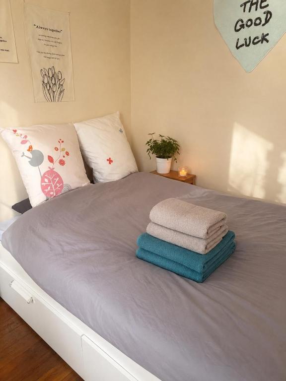 Cozy Parisian Apartment Near Eiffel Tower - 5
