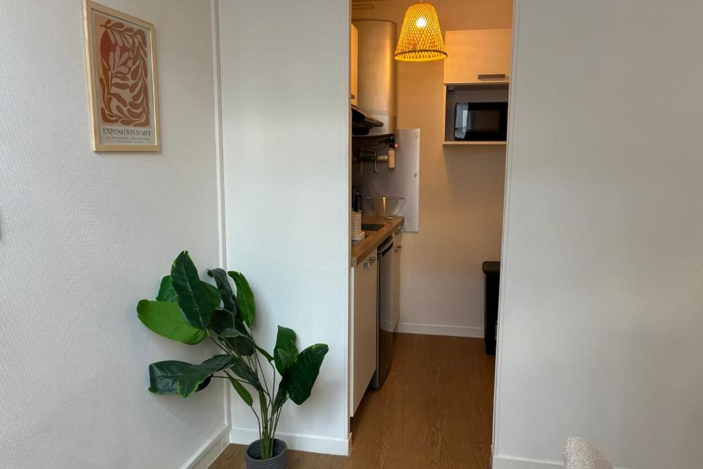 Charmant studio au cœur du quartier Bouffay - 3