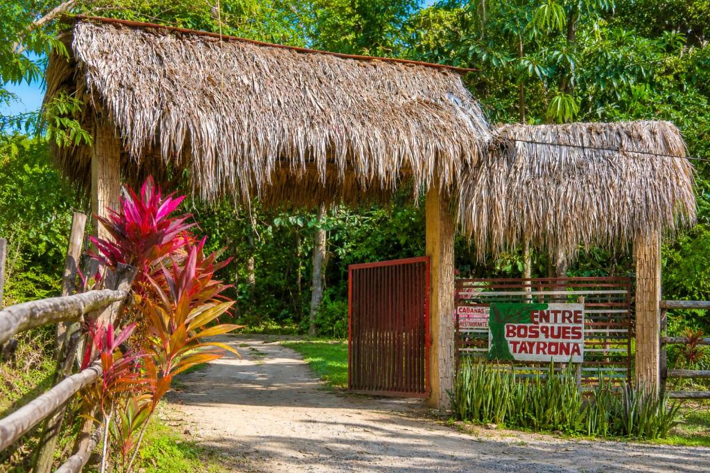 Entre Bosques Tayrona - 3