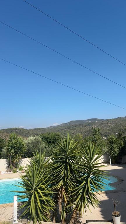 Villa luxueuse - 5
