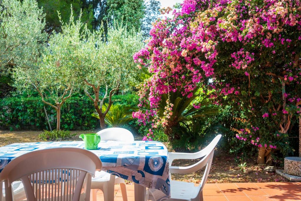 Appartamento Lacona Con Giardino - 3