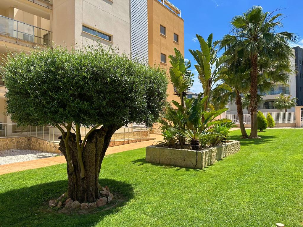 Green Oasis in Villamartin with heated pool and jakuzzi - 2