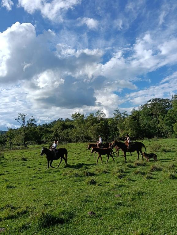 Finca Keo - 4