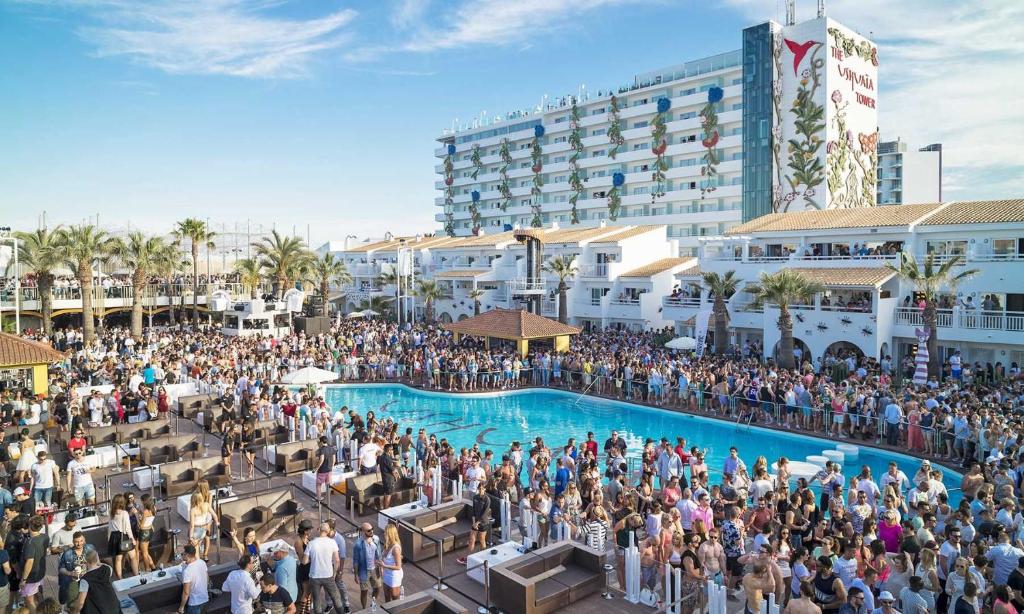 Apt in Playa den Bossa next Ushuaia, beachfront, reliable host - 4
