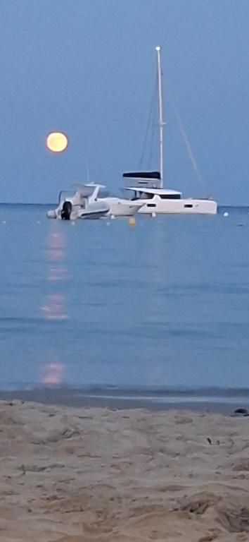 La Cabane en bord de mer Cavalaire sur mer - 3