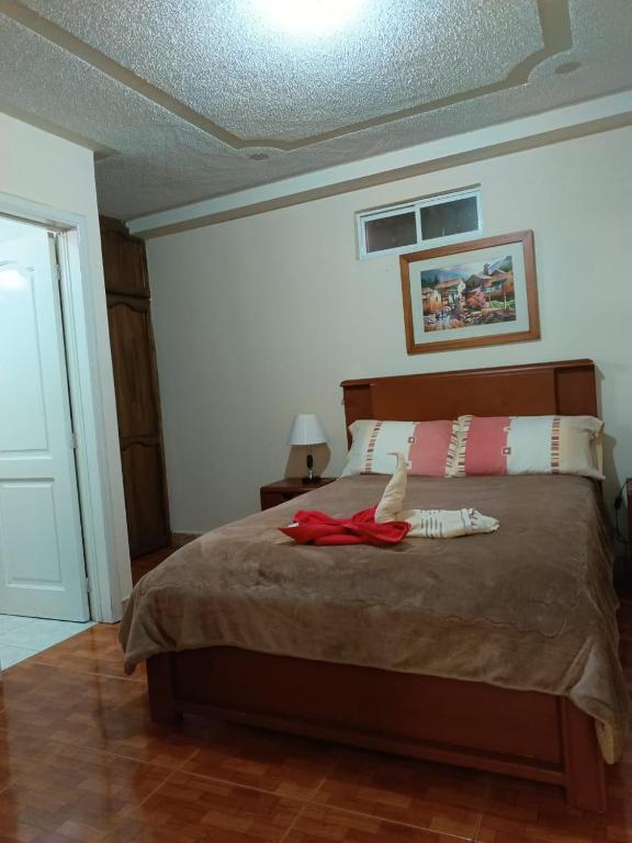 Hostal kimbala - 3