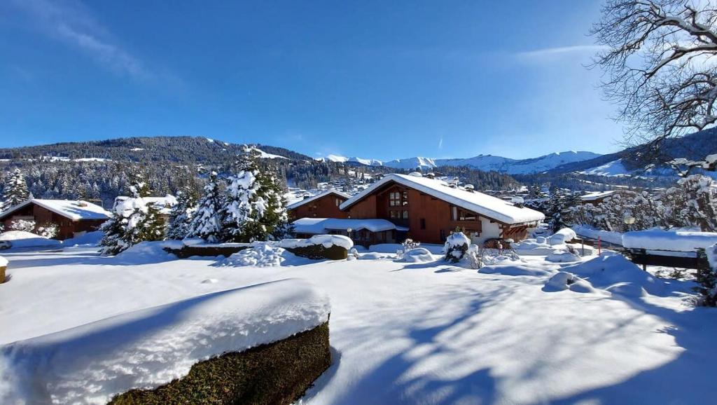 Les Comtes de Savoie - Appartement rénové proche du centre de Megève avec vue sur le Mont d'Arbois - 2