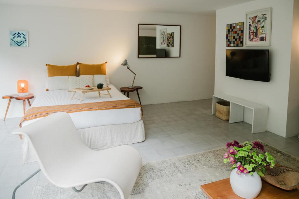 The Light Loft Bright Studio in Condesa - 5