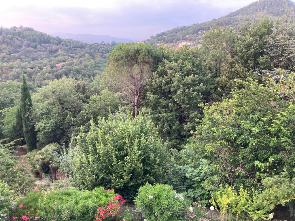 Vistas