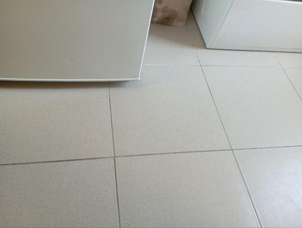 Magnifique appartement Dennis - 2