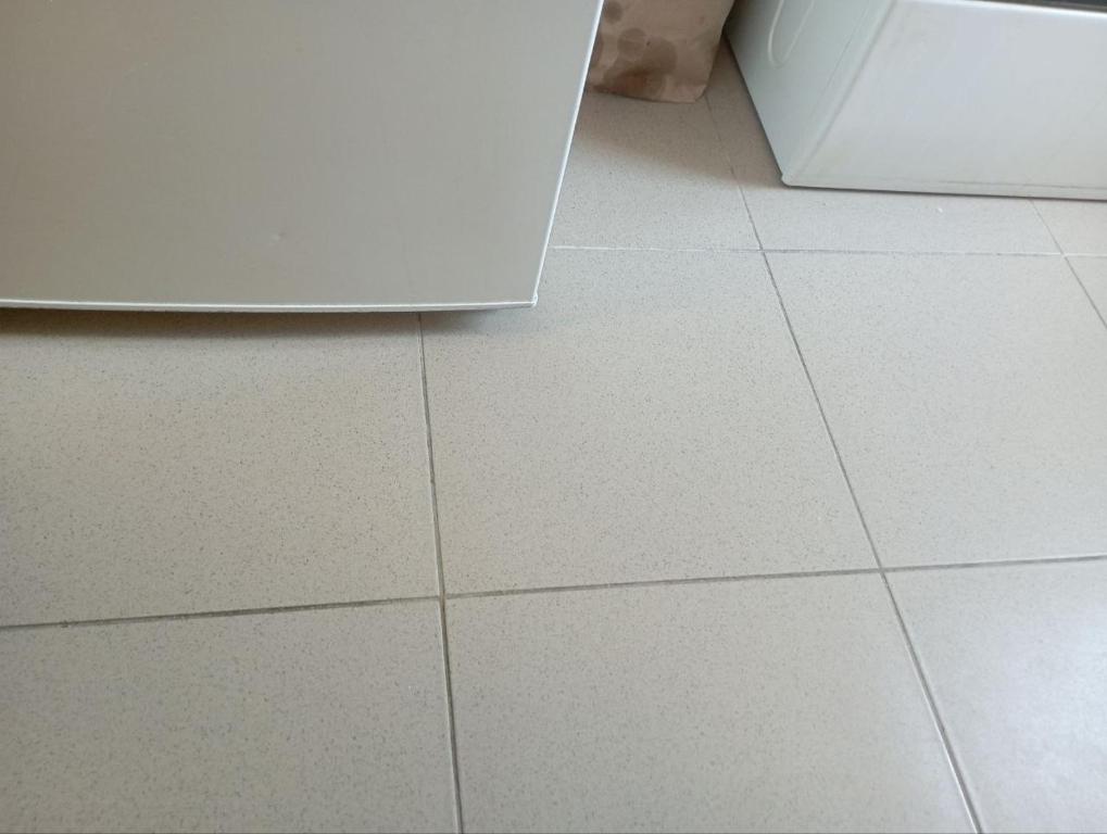 Magnifique appartement Dennis - 4