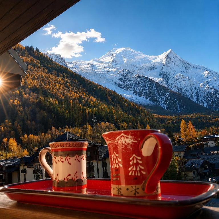 Le Chamois 5E Balcon panoramique MontBlanc avec parking gratuit - 1