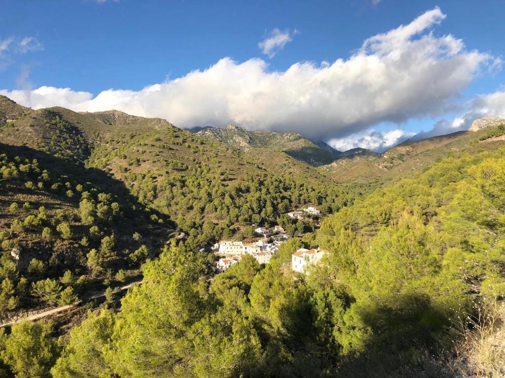 Casa 2 dormitorios piscina privada en la aldea escondida El Acebuchal - 1