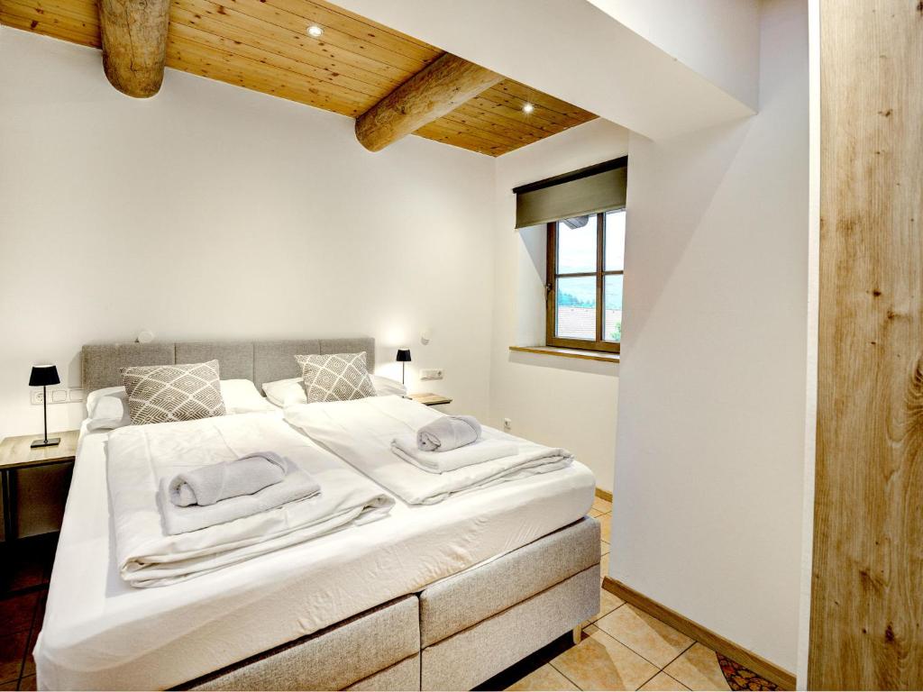 Apartment Edelweiss Deluxe 10 by Interhome - 4