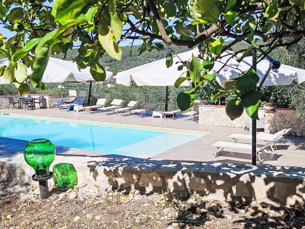 Apartment Bilocale Panoramico 2 by Interhome - 1