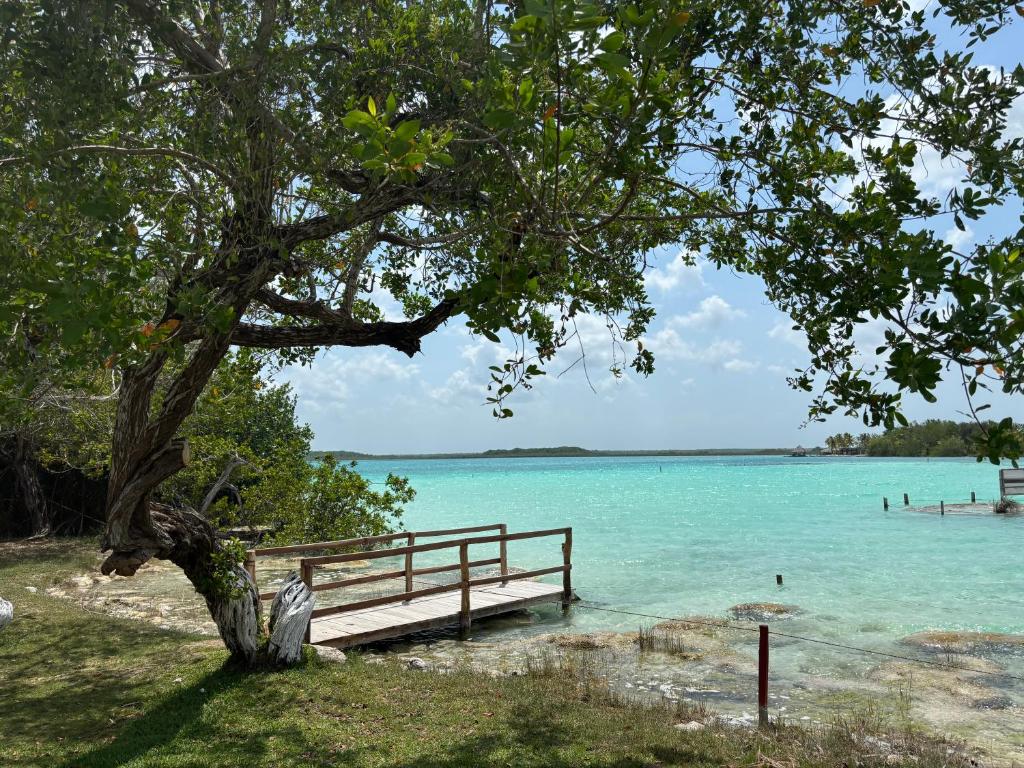 Maison Bacalar - 5