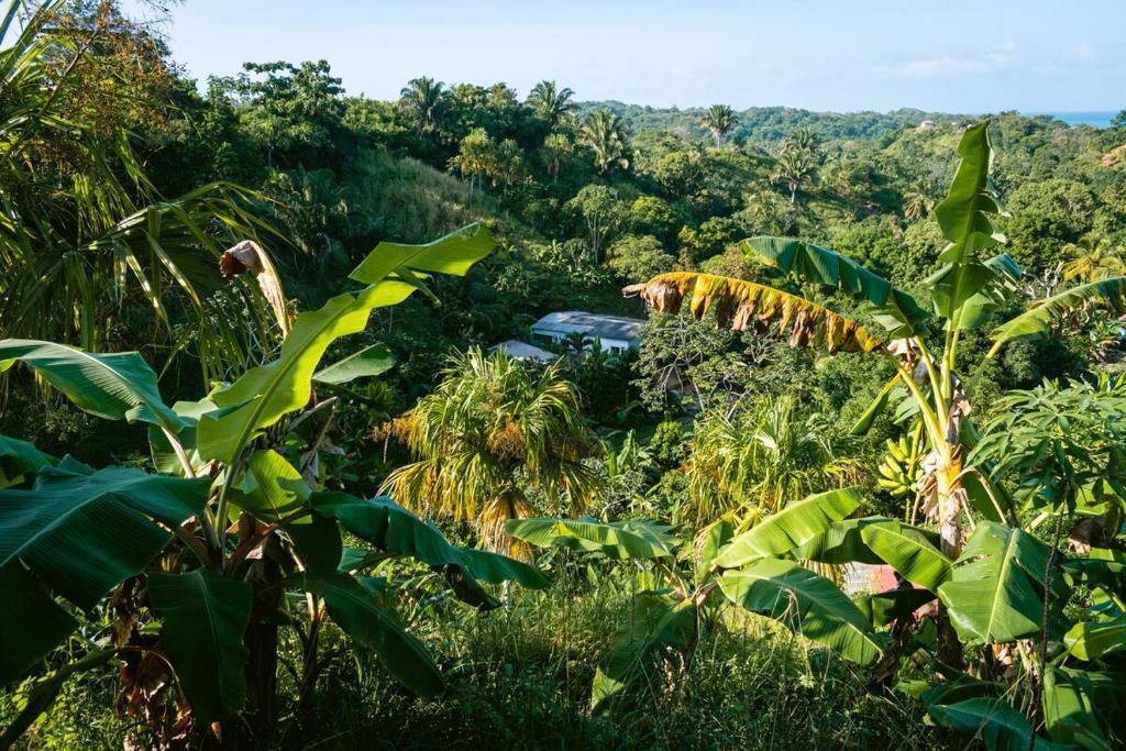 Finca Natural Mystic - 2