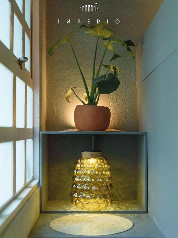 Artful Mexican Tiny Home in Condesa Escandon - 5