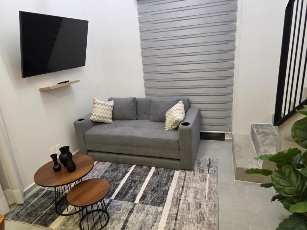 Loft Morelos Terrace - 3