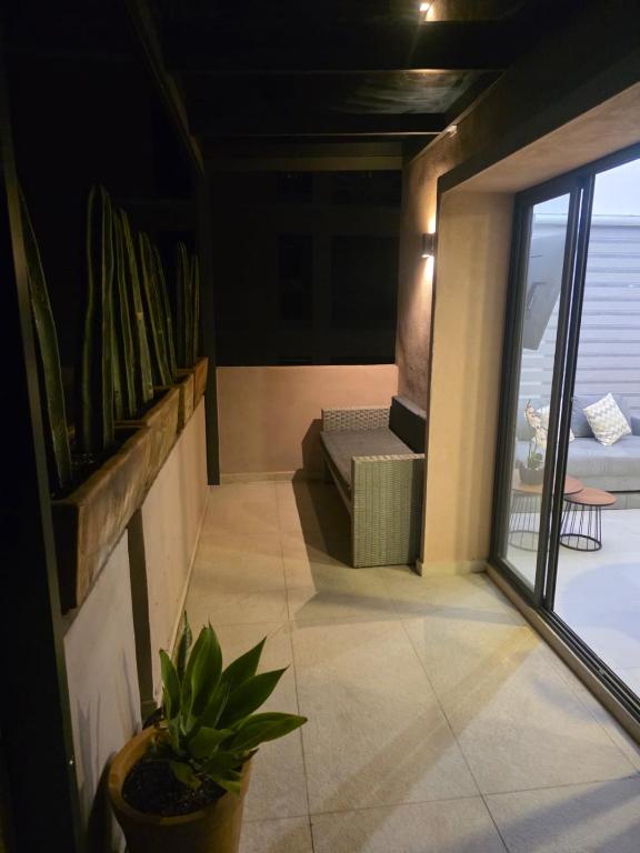 Loft Morelos Terrace - 5