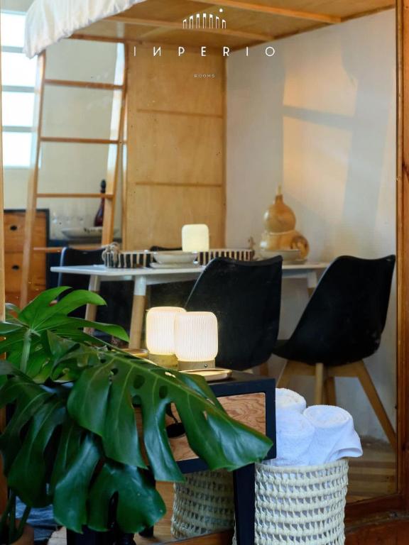 Designer Tiny House in Condesa Escandon - 4