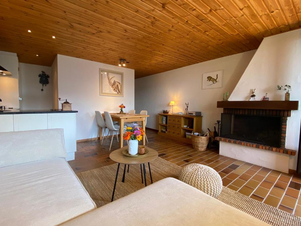 Charming and comfortable 1 bedroom apartment in Gryon - 5
