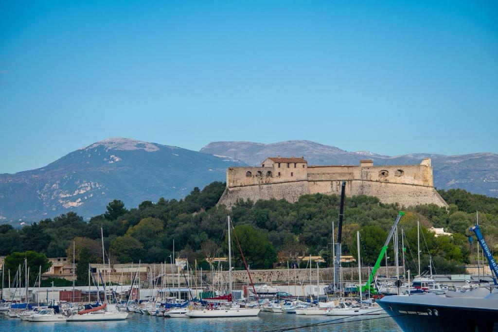 Studio Le petit bateau - Vieil Antibes - 3