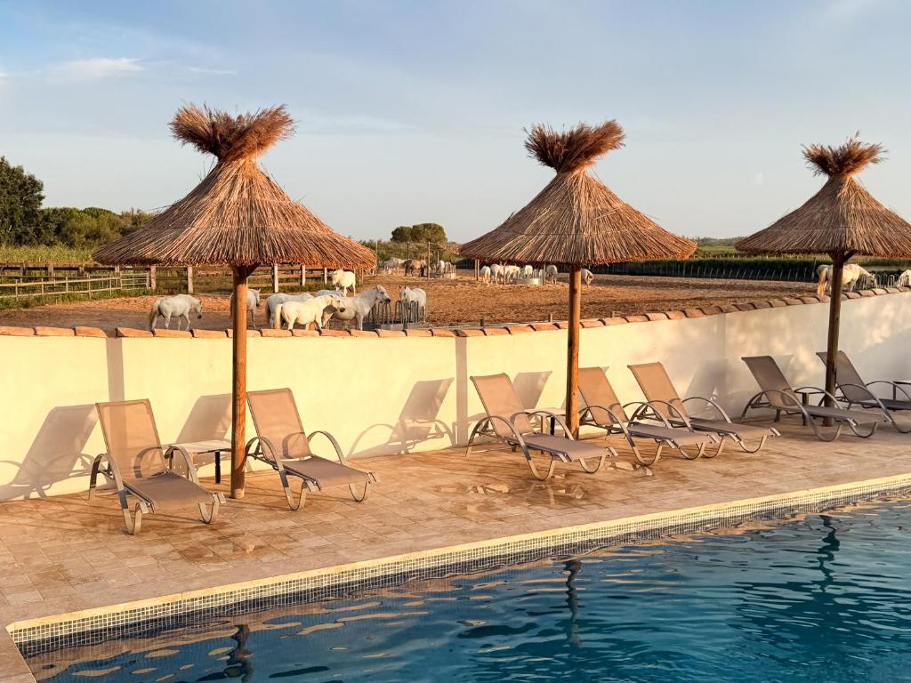 Hotel Mas Des Barres - 1