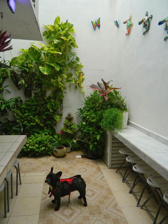 Casa Laurel - 2