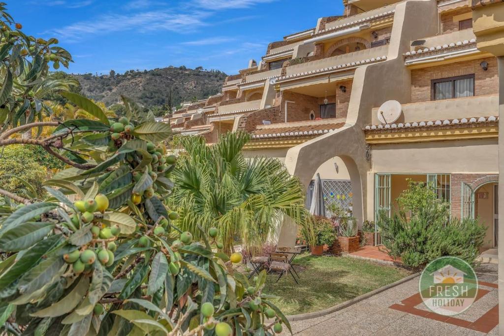 Oasis Palmar - lovely apartment with front garden - 3