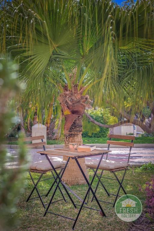Oasis Palmar - lovely apartment with front garden - 4