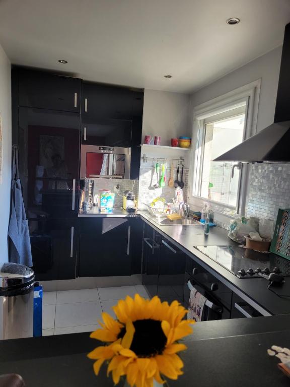 Charming 1 bedroom apartment in Montmartre - 3