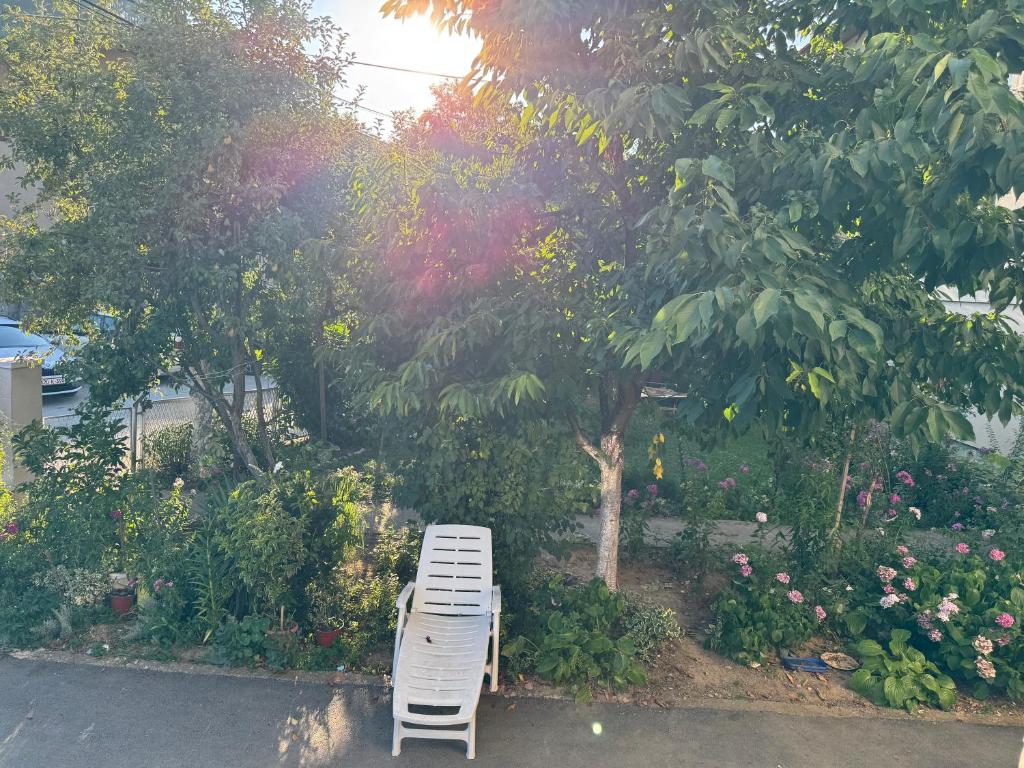 XXL apartman Free parking - 3
