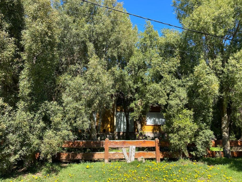 Cabañas Bariloche Arandanos - 3