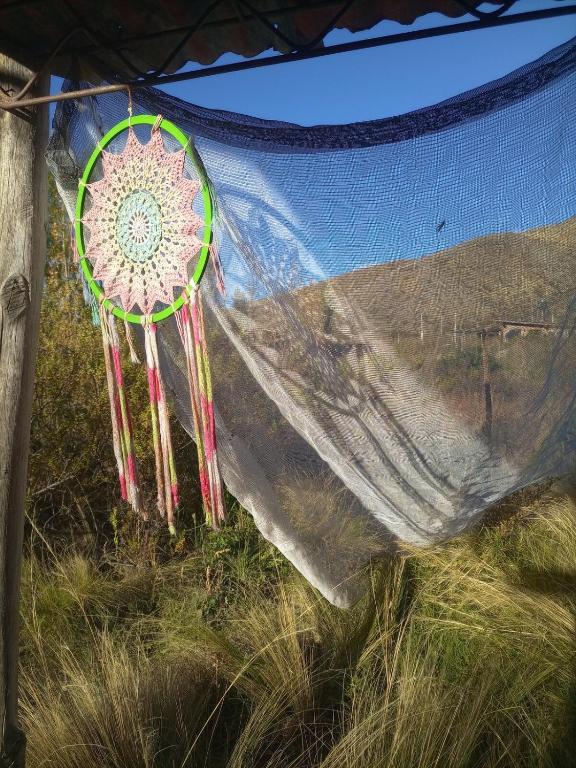 La Cápsula, a rugged nature stay in purity - 3