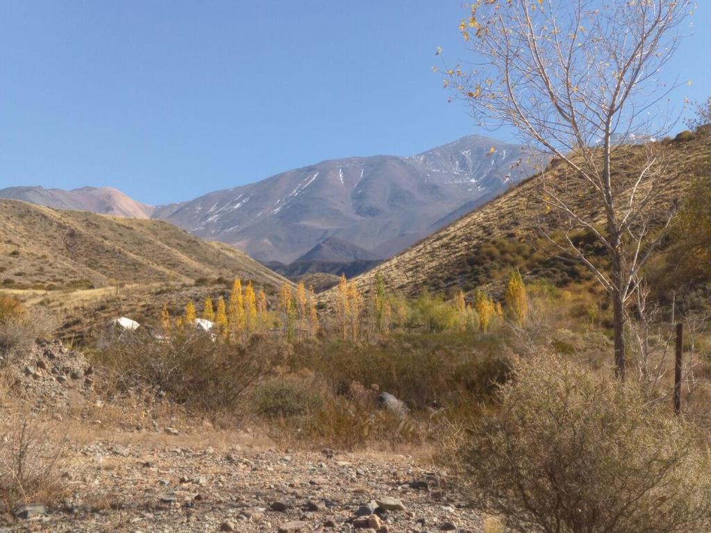 La Cápsula, a rugged nature stay in purity - 4