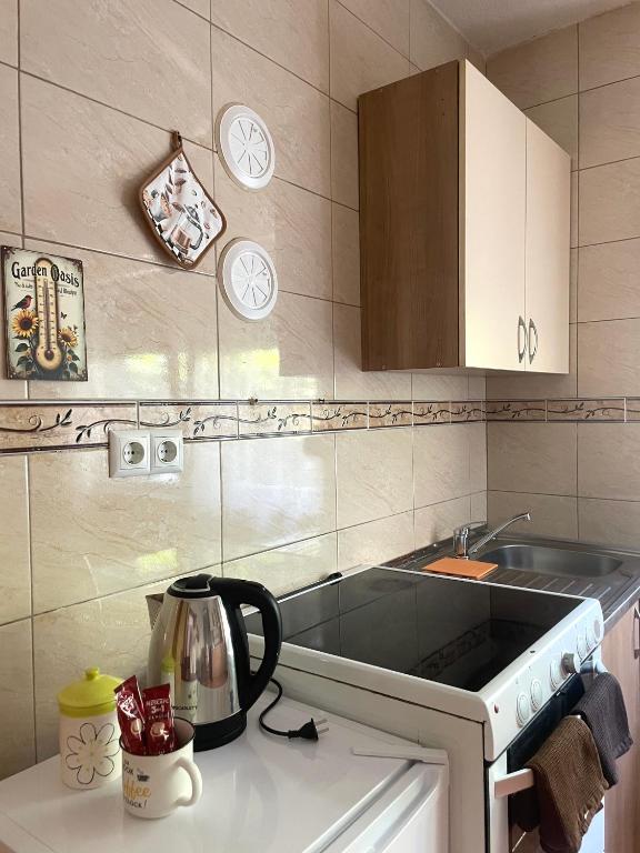 Montarossa Apartment, Sarajevo, Grbavica - 5