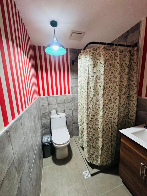 Casita Vintage with a Grill, Patio and Parking - 4