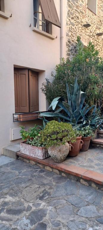 Maison - Banyuls sur Mer - 2