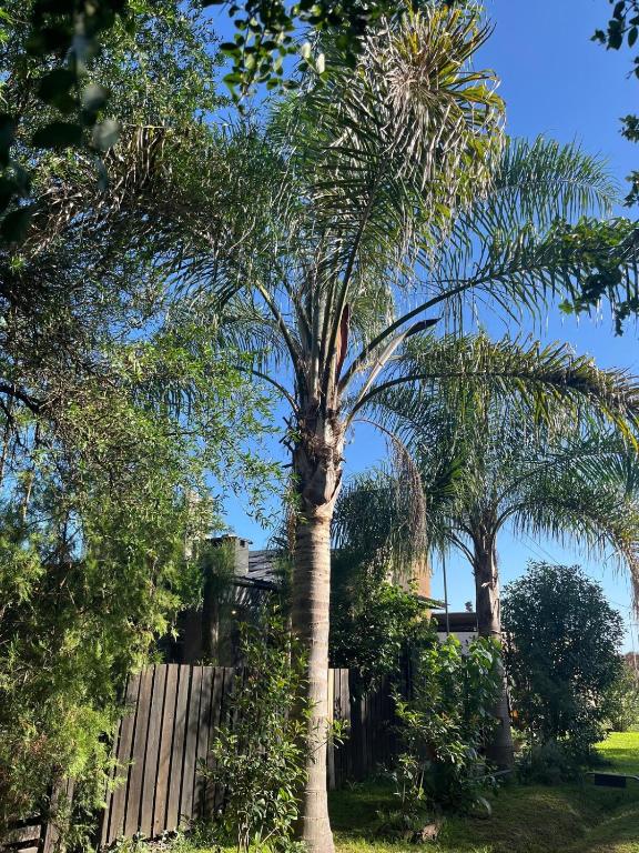 Modern country house in Pueblo Gral Belgrano - 2