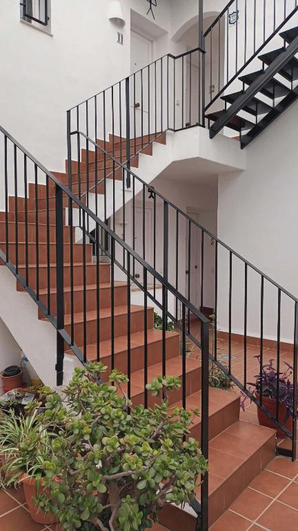 Casa María - 5