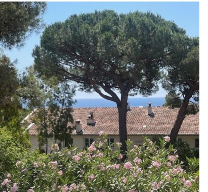 Casa Cicada of Toulon Mourillon - 1