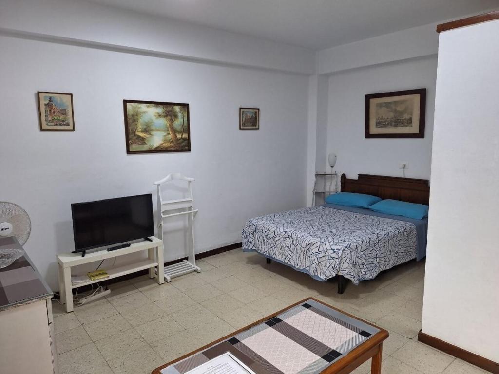 Loft luminoso y espacioso al lado de Las Canteras - 5