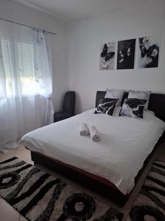 Studio apartman Delic - 5