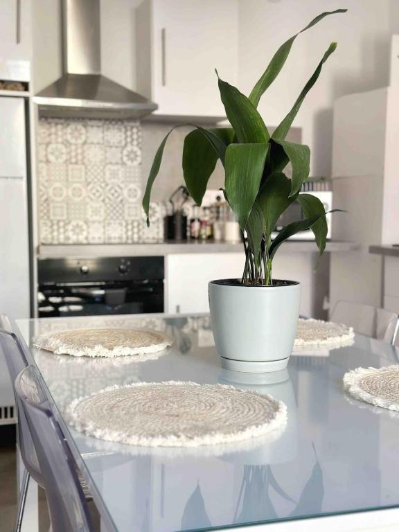 Appartement Chaleureux - 3